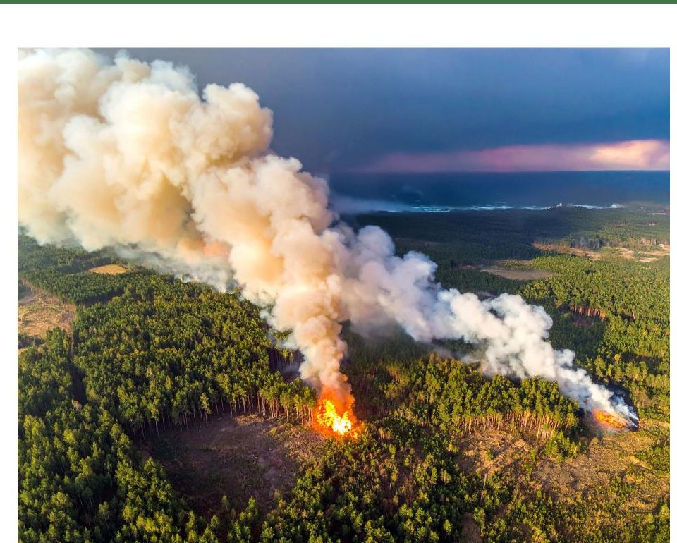Aerial view of a wildfire with flames at the source and smoke spreading downwind across a forest